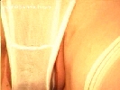 "Candy's Dirty Fuckin' Panties Vol. 2"