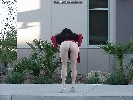 "Dirty Exhibitionist" - Nude In Public